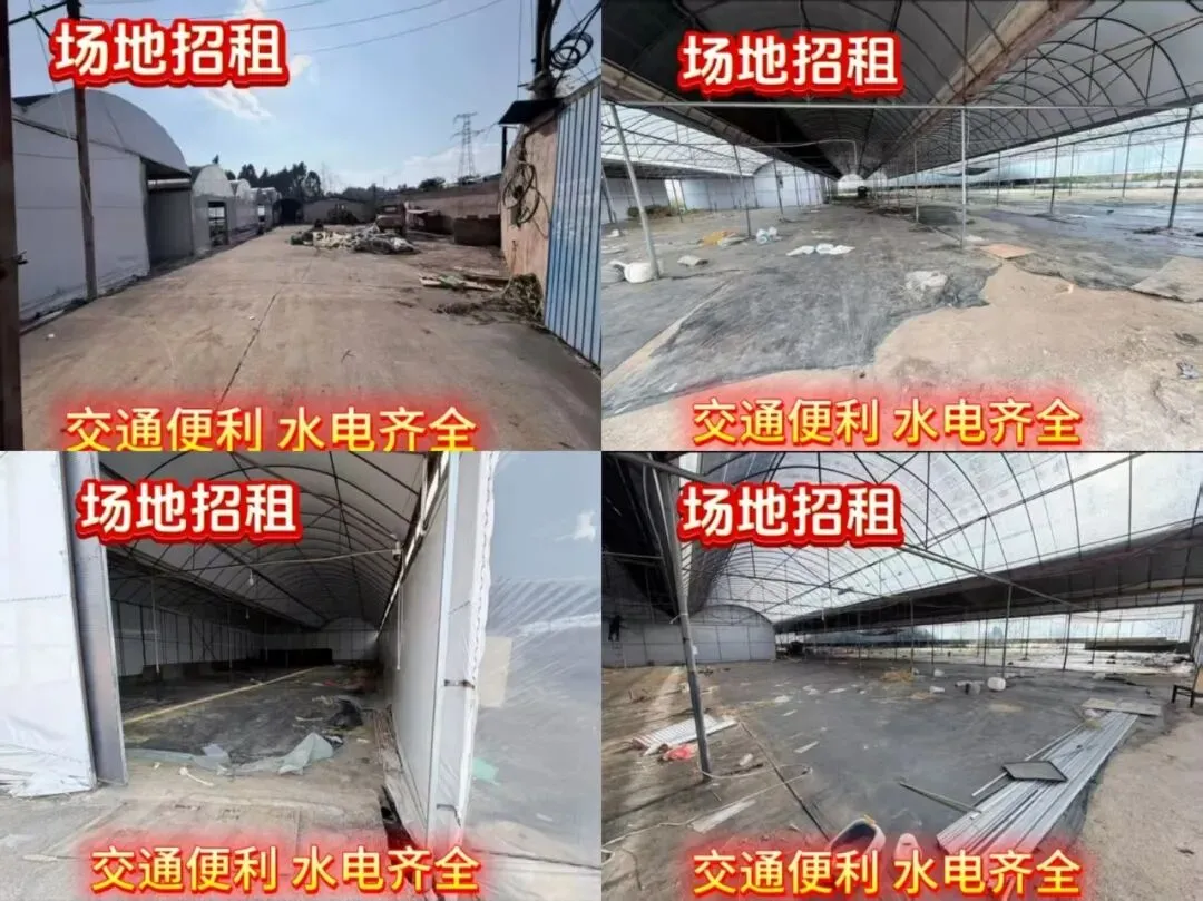 【昆明】大板桥农贸市场厂房出租