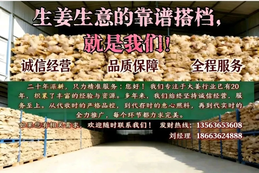 04月14日安丘市场生姜价格 真实市场行情 .货稳价挺.【好货不愁客,价硬只因货真】