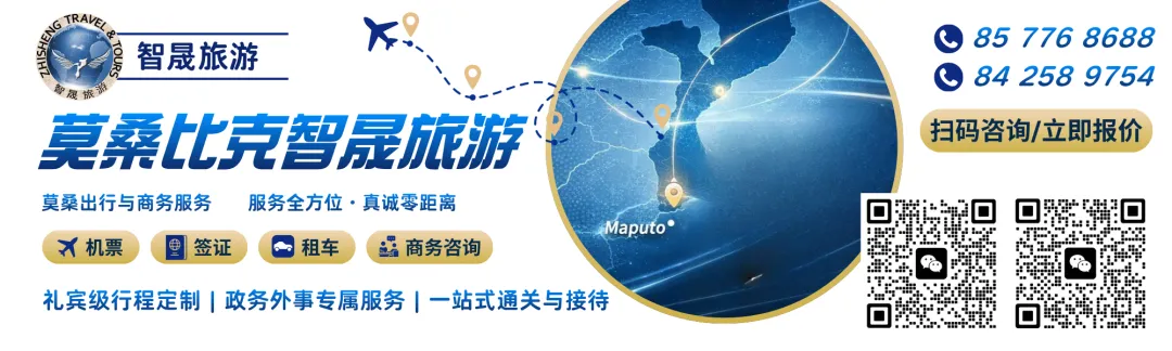 克利马内市强制迁移机场市场木材商贩 本周为最后期限