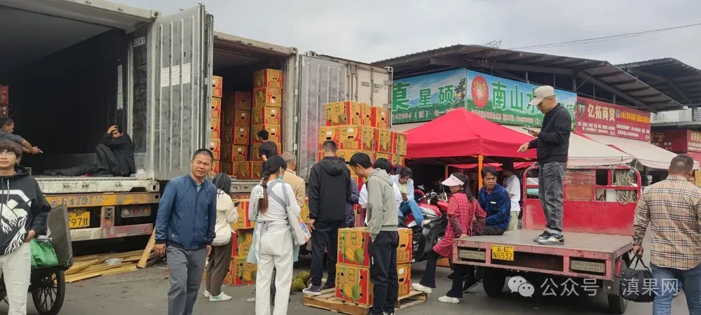 老司机都知道:榴莲从批发市场原箱进货,这几个坑必踩