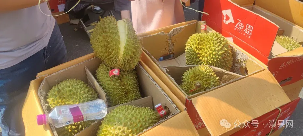 老司机都知道:榴莲从批发市场原箱进货,这几个坑必踩