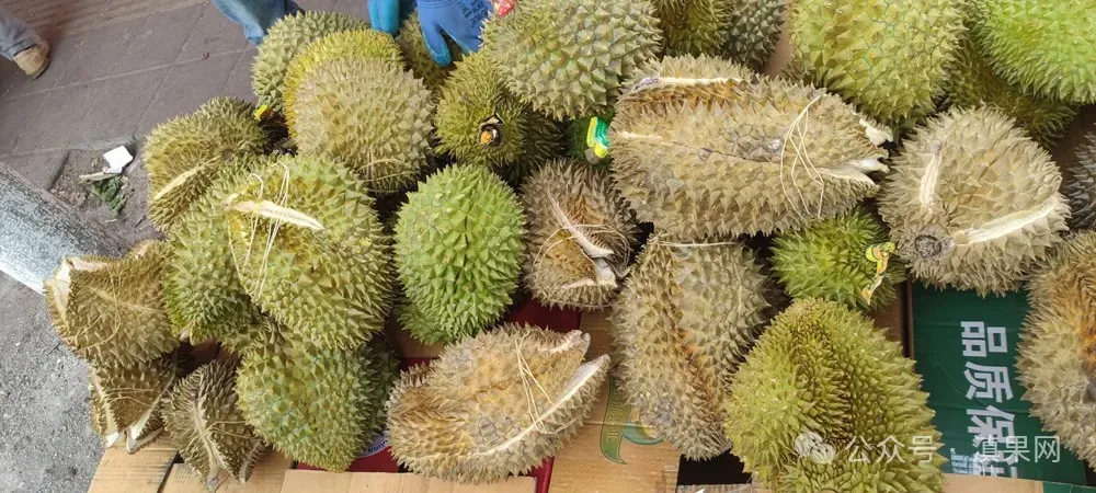 老司机都知道:榴莲从批发市场原箱进货,这几个坑必踩