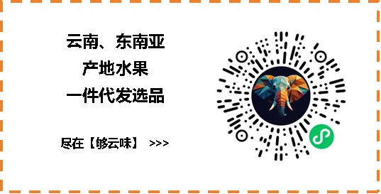 老司机都知道:榴莲从批发市场原箱进货,这几个坑必踩