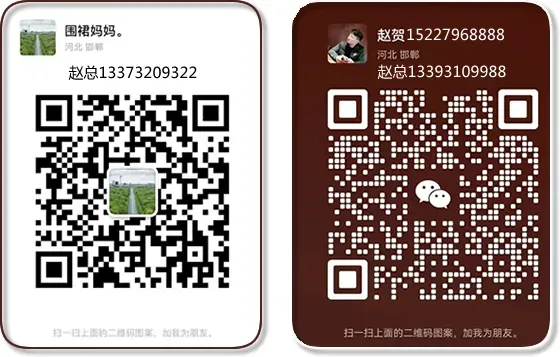 2026年4月14日馆陶金凤市场鸡蛋价格