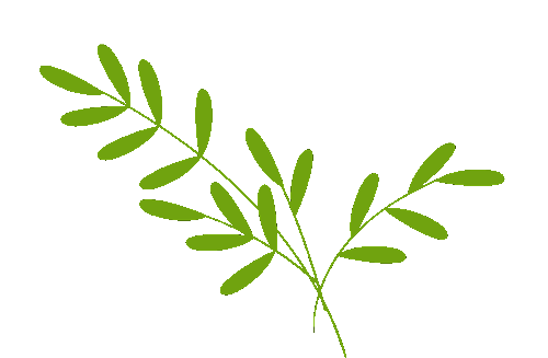 书香十里,阅见成长——十里中心学校跳蚤市场活动火热开展