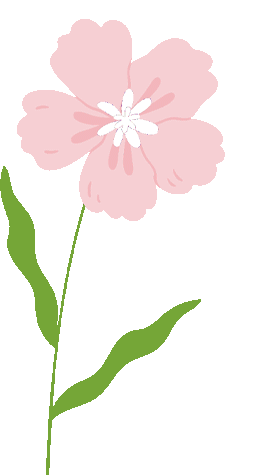 书香十里,阅见成长——十里中心学校跳蚤市场活动火热开展