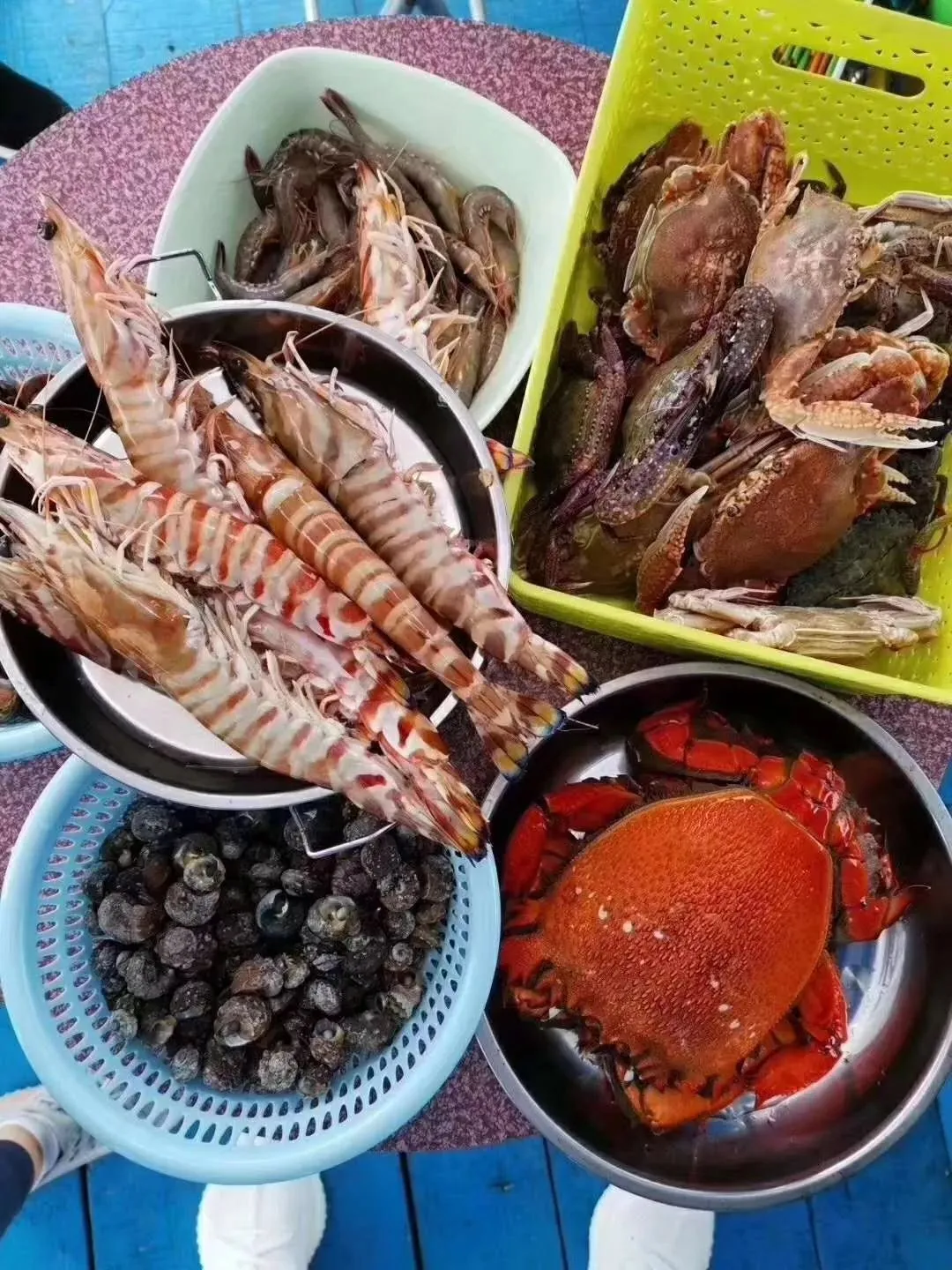 本地买菜新攻略!比市场还便宜?吃本港生猛海鲜人均只要30+、渔港直送到家!