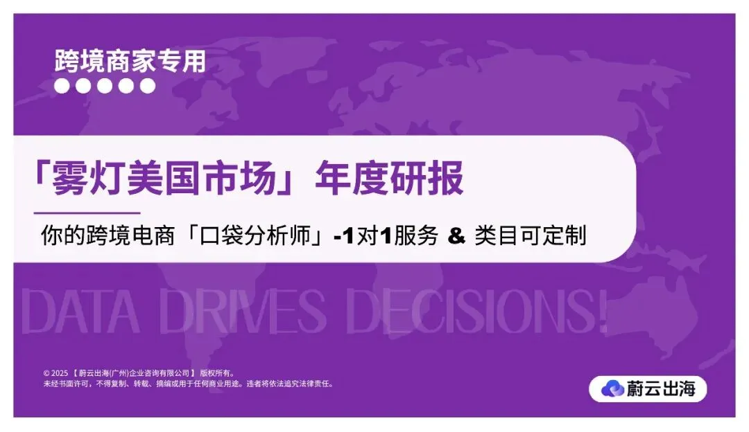 「雾灯美国市场」年度研报_21页_6mb.pdf