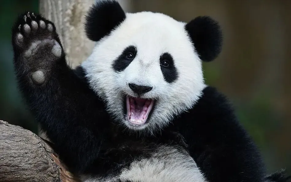 计算机硬件—CPU小常识在这里,快点进来查收吧!