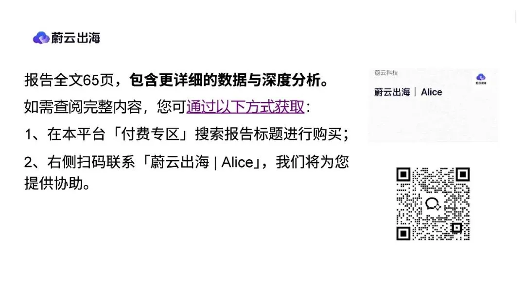 「雾灯美国市场」年度研报_21页_6mb.pdf