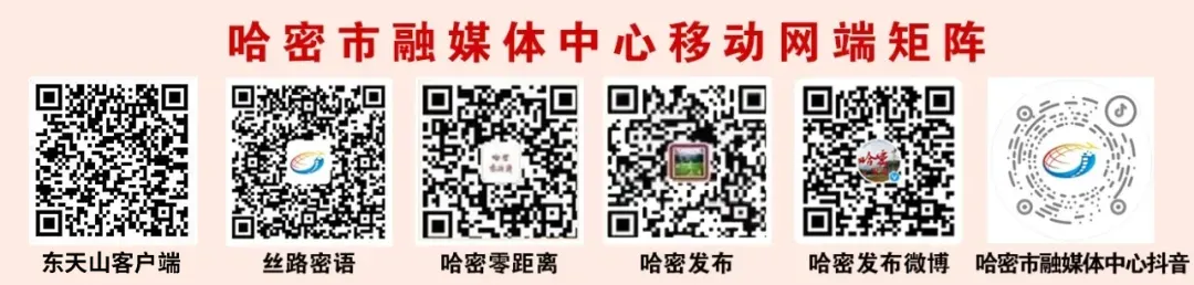 油价波动引关注!哈密新能源汽车市场持续升温