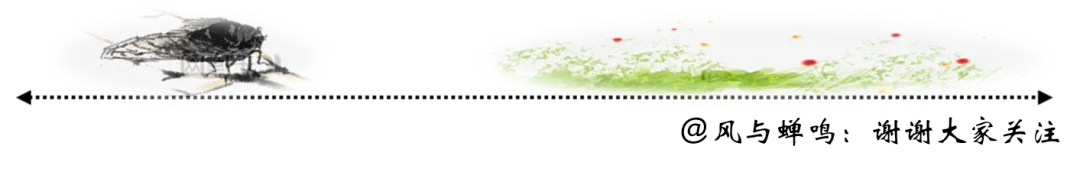 “独生子女的优越感从哪里来?”相亲市场上真的更有优势吗?