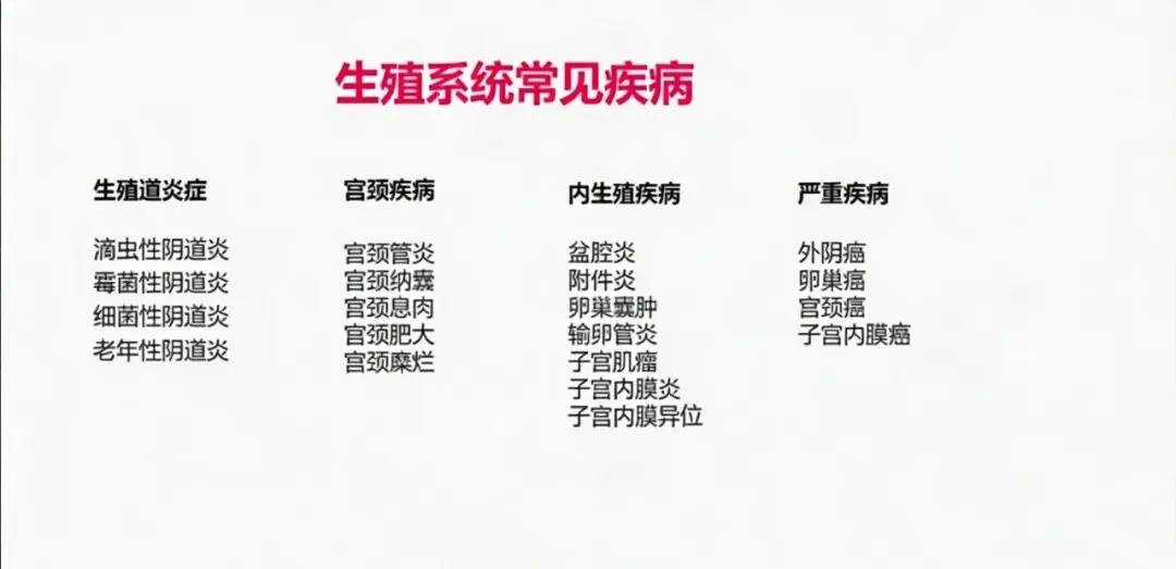 倍莱鲜雪莲贴:36 元爆品撬动千亿市场的背后逻辑与意义!