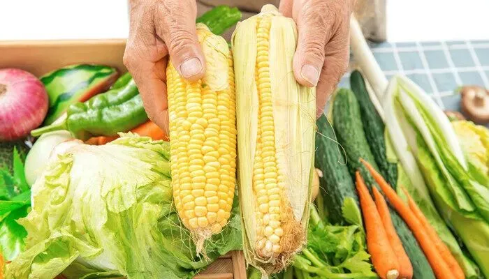 《农业经理人》农产品的市场营销现状和策略@职业技能等级证书(理论复习题)学习