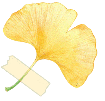 昌黎县人力资源市场将于2026年4月16日上午举行带岗直播活动