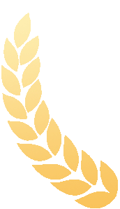 有情有义·青春益行丨市场集团团委走进第六届义乌市公益博览会开展学雷锋主题团日活动