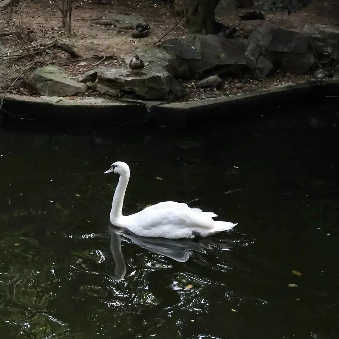 惠城营销节 即将开启!