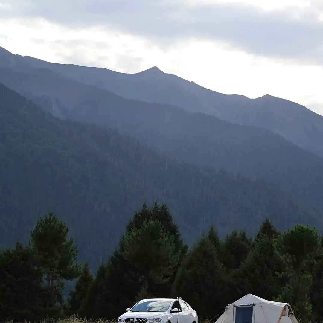 惠城营销节 即将开启!