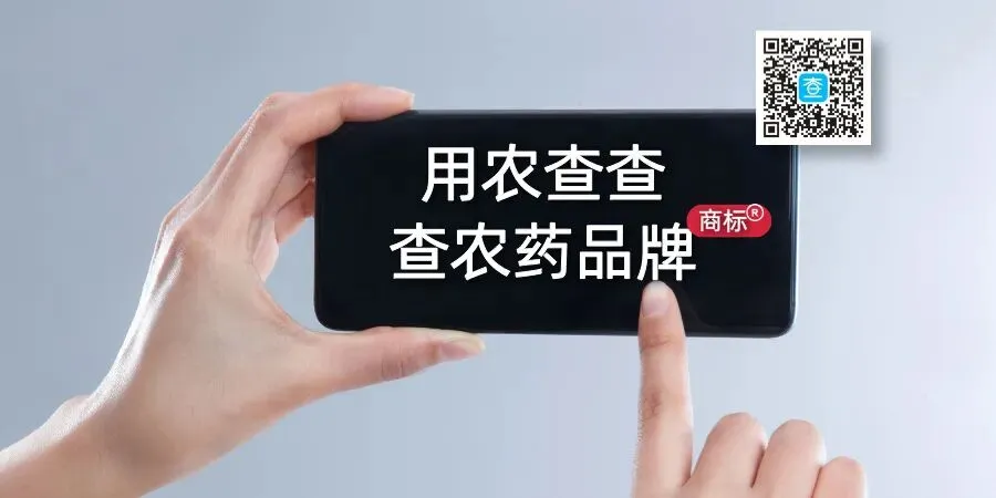 精喹禾灵市场分析:价格跌了,但水稻田里却“杀”出了新商机