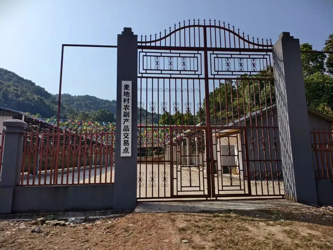 龙山镇麦地村农副产品交易市场投入使用