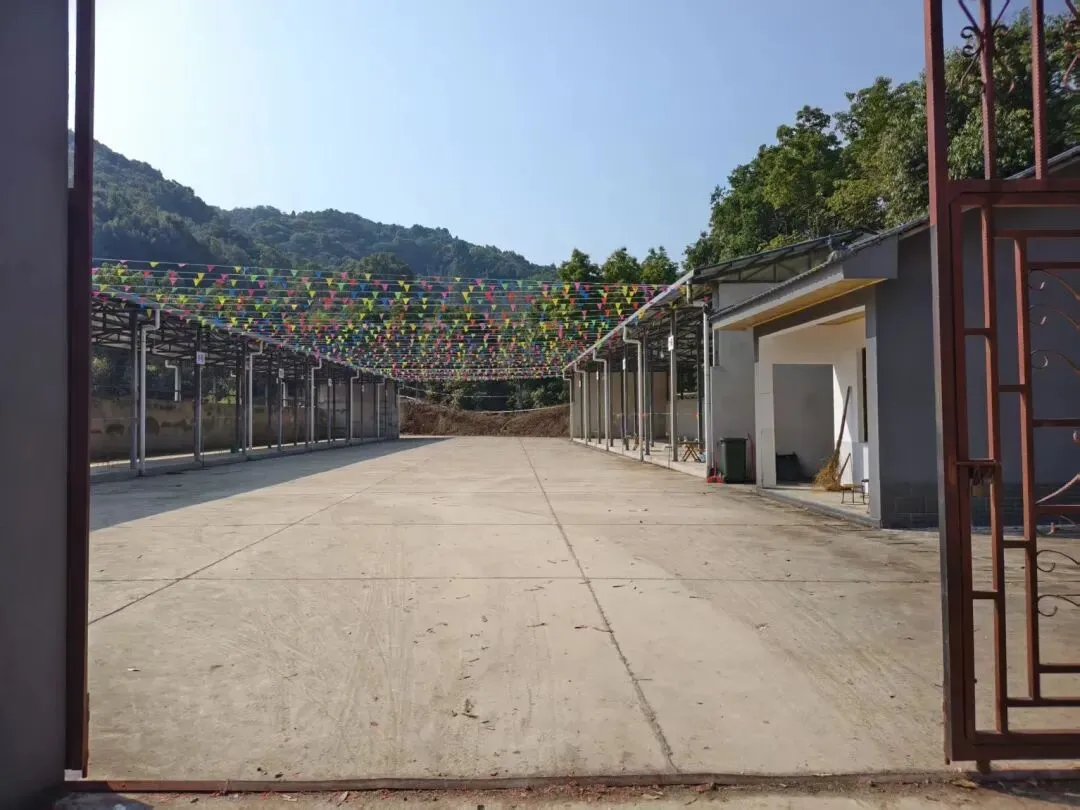 龙山镇麦地村农副产品交易市场投入使用