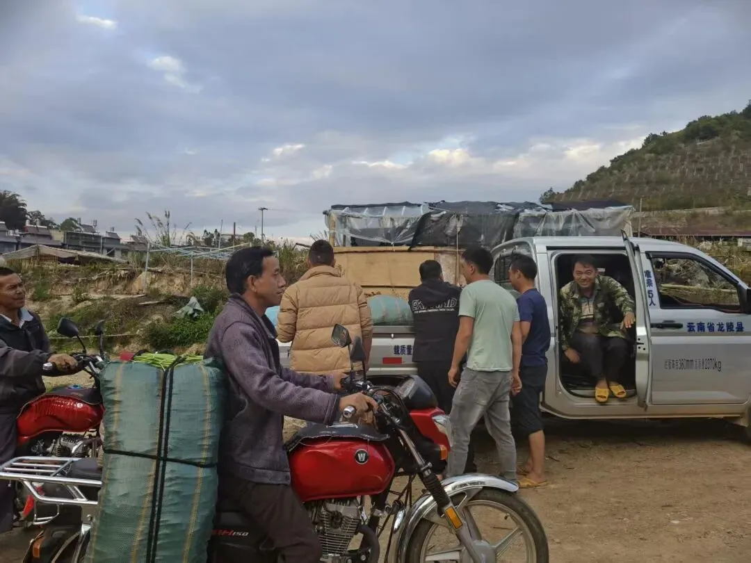 龙山镇麦地村农副产品交易市场投入使用
