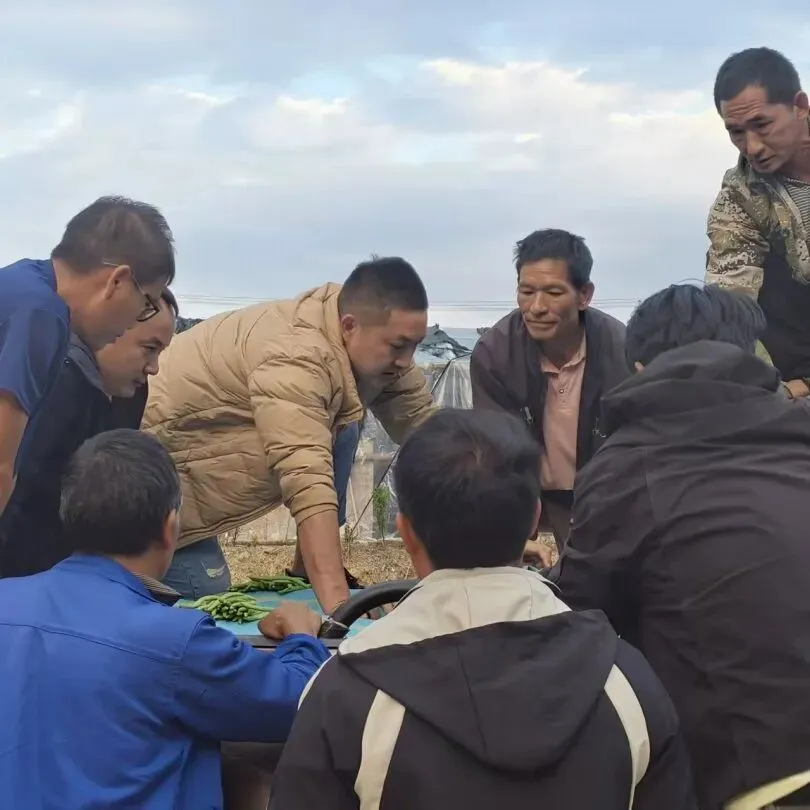 龙山镇麦地村农副产品交易市场投入使用