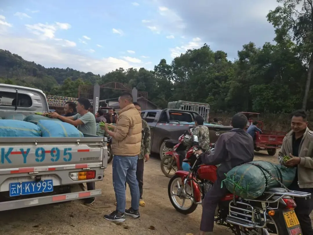 龙山镇麦地村农副产品交易市场投入使用