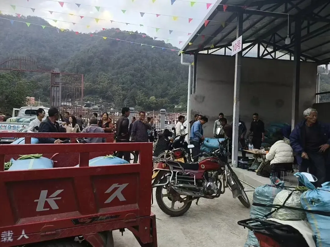 龙山镇麦地村农副产品交易市场投入使用