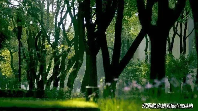 叠翠苑 | 叠翠苑 (营销中心) 官网 – 2026销售中心 (售楼处)-楼盘欢迎您 – 价格 / 户型 / 地址 / 环境 / 配套 / 交房时间 / 电话