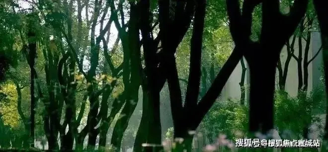 叠翠苑 | 叠翠苑 (营销中心) 官网 – 2026销售中心 (售楼处)-楼盘欢迎您 – 价格 / 户型 / 地址 / 环境 / 配套 / 交房时间 / 电话