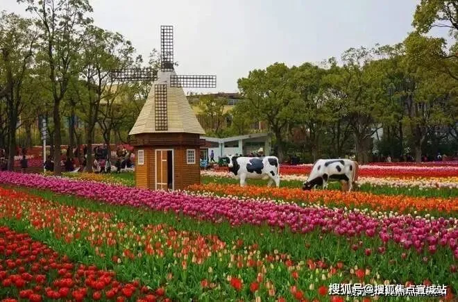 叠翠苑 | 叠翠苑 (营销中心) 官网 – 2026销售中心 (售楼处)-楼盘欢迎您 – 价格 / 户型 / 地址 / 环境 / 配套 / 交房时间 / 电话