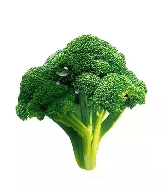 【价格动态】山西榆次汇隆市场2026年4月14日价格动态