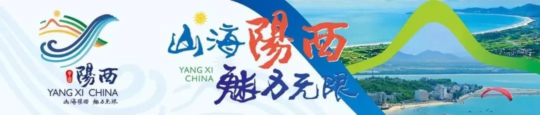 阳西县市场监督管理局:精准服务强根基 监管赋能促发展