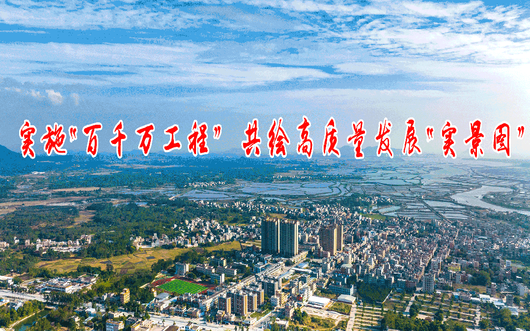 阳西县市场监督管理局:精准服务强根基 监管赋能促发展