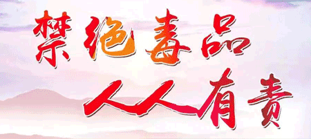 阳西县市场监督管理局:精准服务强根基 监管赋能促发展