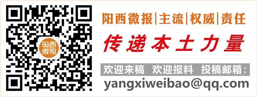 阳西县市场监督管理局:精准服务强根基 监管赋能促发展