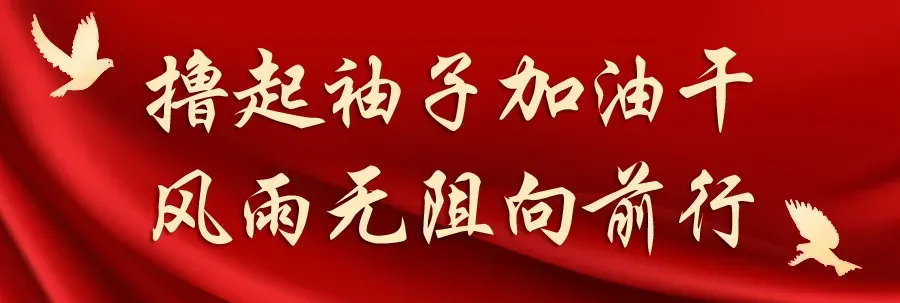 廊坊市市场监督管理局全力护航第33届中国·胜芳国际家具博览会强化知识产权全链条保护