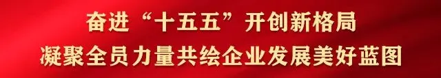 强基固本 赋能未来——公司举办市场营销专题培训