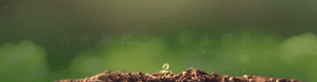 视界丨4月14日最新有机硅市场分析