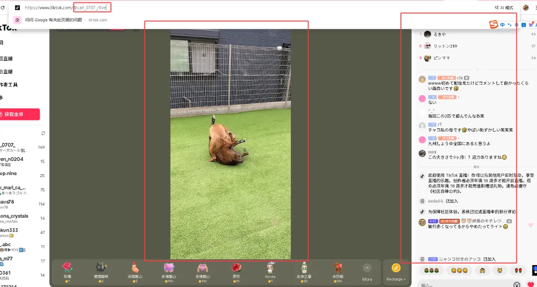 TikTok批量截流获客指南:精准触达海外客户,高效突破出海瓶颈