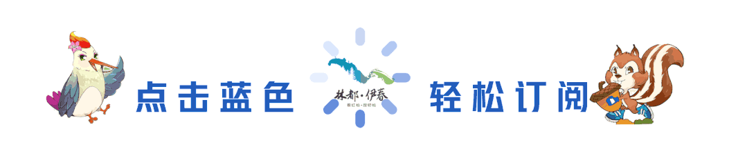 市文广旅局文化市场执法支队赴铁力开展旅游市场整治督导与文物安全巡查工作
