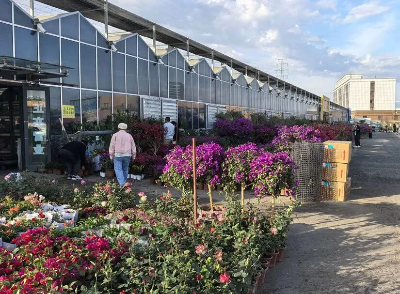 乌苏北园春市场三重升级焕发新活力