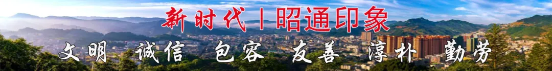 威信县市场监督管理局公开招聘城镇公益性岗位工作人员面试通告