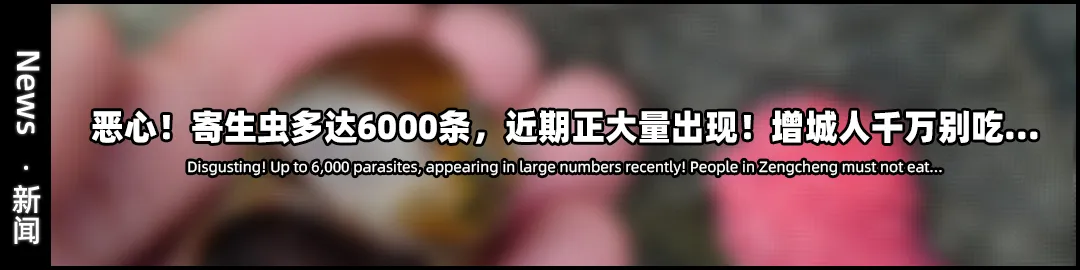 大整治!增城这市场周边严查…