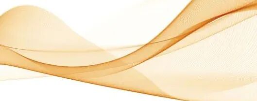 古制归雅,新韵入常|新中式布鞋市场趋势与非遗合作全案