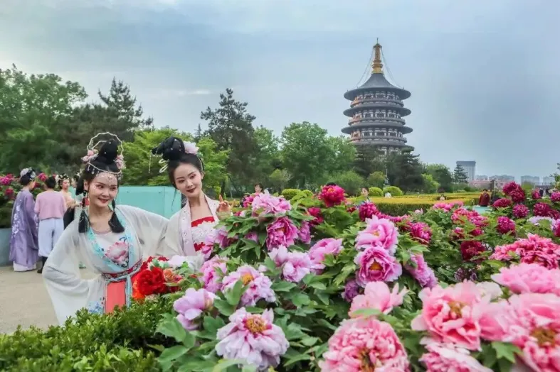 2026年洛阳市零工市场“花开洛城・职等你来”文旅专场招聘会邀请函