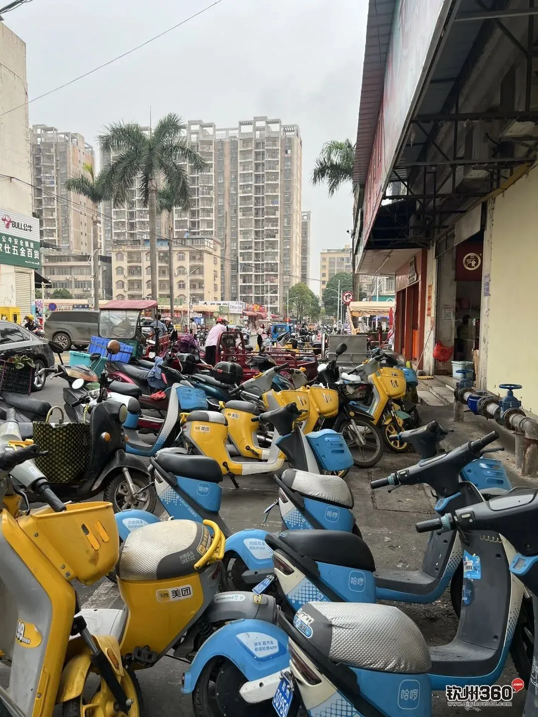 市场、夜市周边成重灾区!钦州共享电单车占道乱象谁来管?