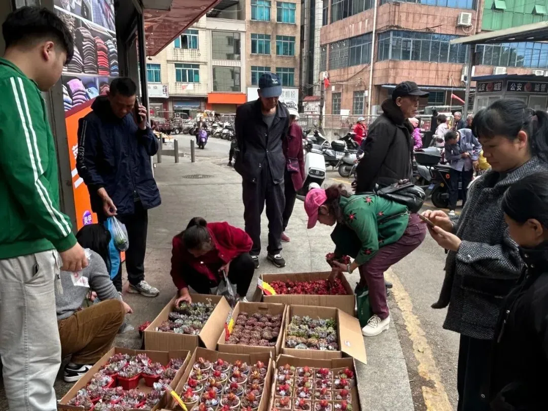 时不我待,提速增效——菜丁市场集团召开4月工作会议