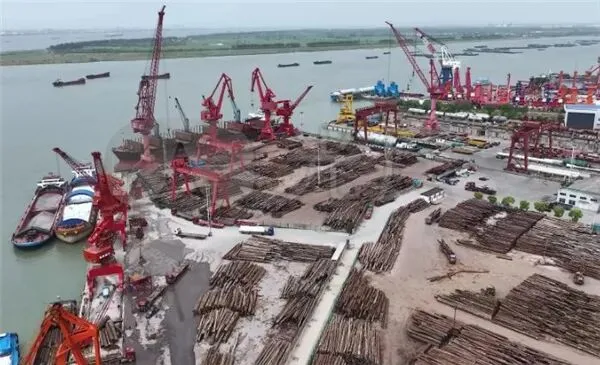 数据解读丨2026年2月中国木材市场深度透视:进口骤降28.7%,原木锯材走势分化,出口逆势狂飙!